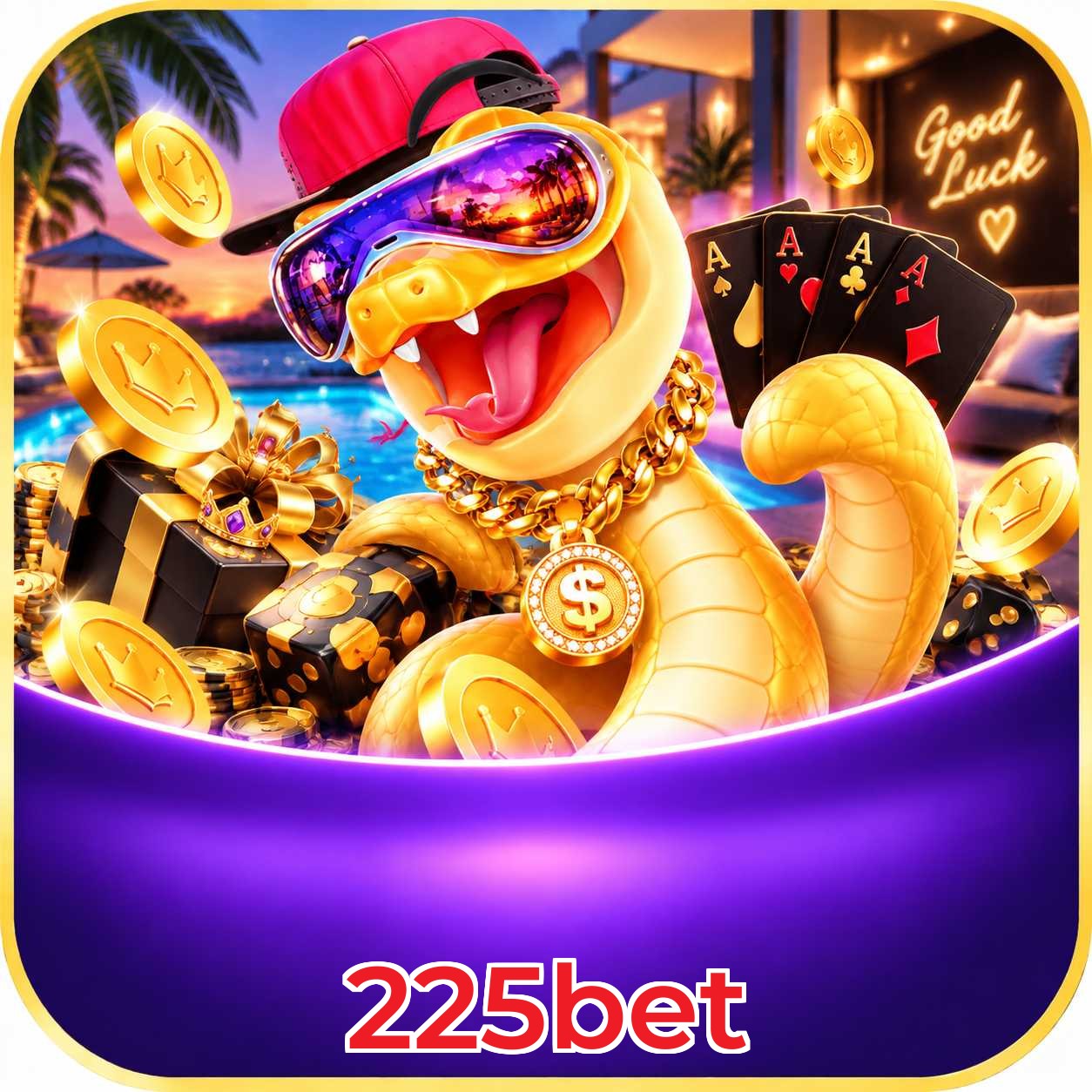 225bet Plataforma FAQ